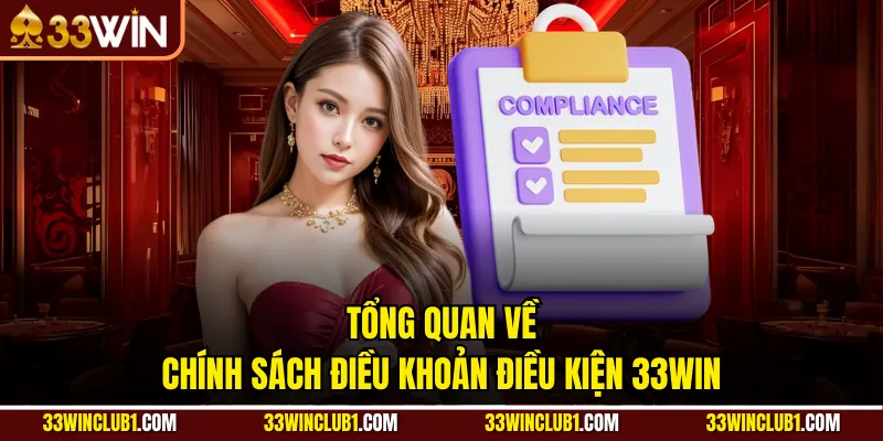 Tổng quan về chính sách điều khoản điều kiện 33win